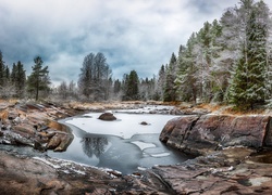 Finlandia, Koitelin, Rzeka Kiiminkijoki, Kamienie, Las, Skały, Drzewa