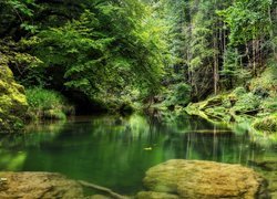 Widok na rzekę Orbe w Szwajcarii