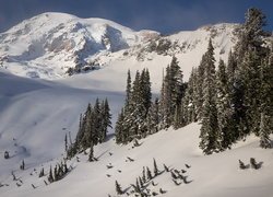 Zima, Góry, Stratowulkan, Mount Rainier, Drzewa, Park Narodowy Mount Rainier, Stan Waszyngton, Stany Zjednoczone