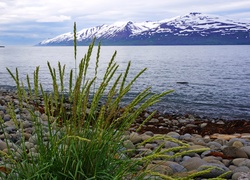 Widok na stratowulkan Snaefellsjökull w Islandii