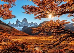 Góry Andy, Szczyt Fitz Roy, Patagonia, Argentyna, Promienie słońca, Jesień, Drzewa, Gałęzie