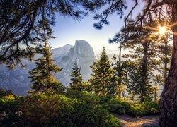 Stany Zjednoczone, Stan Kalifornia, Park Narodowy Yosemite, Szczyt Half Dome, Wschód słońca, Drzewa, Góry