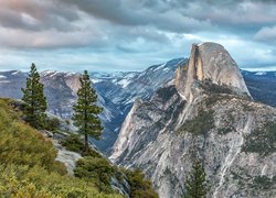 Stany Zjednoczone, Stan Kalifornia, Park Narodowy Yosemite, Góry, Szczyt Half Dome, Drzewa