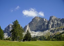 Szczyt, Roda di Vael, Góry, Dolomity, Drzewa, Łąka, Włochy