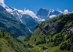 Góry, Alpy Berneńskie, Szczyt Titlis, Skały, Lasy, Drzewa, Dolina, Roślinność, Engelberg, Kanton Obwalden, Szwajcaria