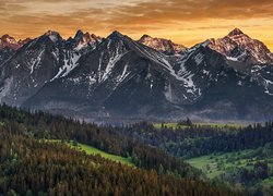 Góry, Tatry, Kasprowy Wierch, Lasy, Polska