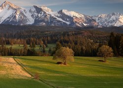 Widok na Tatry z Łapszanki