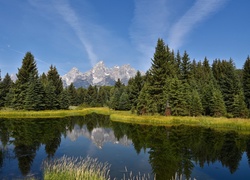 Stany Zjednoczone, Stan Wyoming, Park Narodowy Grand Teton, Rzeka Snake River, Drzewa, Góry Teton Range, Odbicie