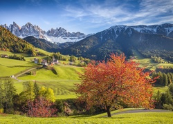Widok na wieś Santa Maddalena w dolinie Val di Funes