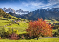 Włochy, Santa Maddalena, Dolina Val di Funes, Góry Dolomity, Wzgórza, Drzewa, Domy