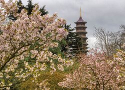 Pagoda, Wieża, Drzewa, Kwiaty, Wiosna