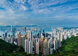Widok na wieżowce ze Wzgórza Wiktorii w Hongkongu