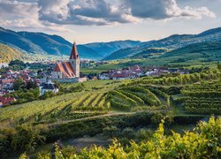 Austria, Dolina Wachau, Weissenkirchen, Góry, Rzeka, Domy, Roślinność, Winnice, Plantacja, Chmury
