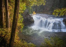 Widok na wodospad Lower Lewis River Falls w Cougar