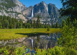 Stany Zjednoczone, Kalifornia, Park Narodowy Yosemite, Skały, Wodospad, Drzewa, Kwiaty, Góry