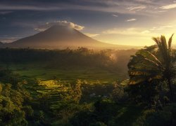 Wulkan Agung, Góry, Pola, Uprawne, Tarasy ryżowe, Drzewa, Mgła, Wschód słońca, Wyspa Bali, Indonezja
