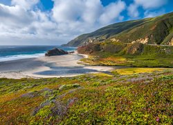 Widok na wybrzeże Big Sur w Kalifornii