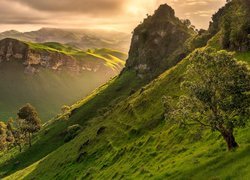 Nowa Zelandia, Region Hawkes Bay, Góry Te Mata Peak, Wzgórza, Góry, Wschód słońca, Dolina, Drzewa