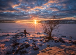 Norwegia, Zima, Jezioro Tyrifjorden, Drzewo,  Promienie słońca, Mężczyzna