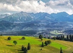 Góry, Tatry, Drzewa, Dolina, Zakopane, Polska