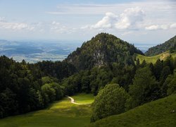 Widok na zalesioną górę