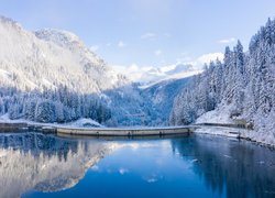 Widok na zalesione i zaśnieżone góry