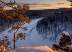 Zima, Las, Drzewa, Zaśnieżona, Rzeka Czusowaja, Skała, Rosja