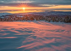Zima, Promienie słońca, Zatoka Cooka, Ośnieżone, Drzewa, Świerki, Anchorage, Alaska, Stany Zjednoczone