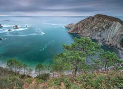 Morze, Zatoka, Plaża, Silence Beach, Skały, Drzewa, Asturia, Hiszpania