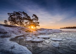 Finlandia, Helsinki, Półwysep Kallviksudden, Plaża Kallahdenniemi, Zatoka, Morze, Zima, Promienie słońca, Zachód słońca, Drzewa