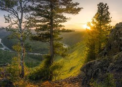 Widok spoza drzew na zakole rzeki w dolinie