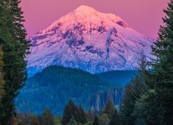 Góra, Stratowulkan, Mount Hood, Szczyt, Śnieg, Drzewa, Świerki, Stan Oregon, Stany Zjednoczone