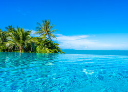 Widok z basenu na palmy i morze