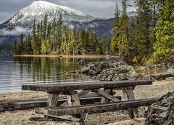 Stany Zjednoczone, Stan Waszyngton, Park Stanowy Lake Wenatchee, Góry, Jezioro, Drzewa, Ławki