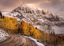 Stany Zjednoczone, Stan Kolorado, Droga, Góry, Góra Gothic Mountain, Drzewa