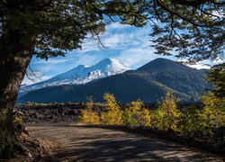 Widok z drogi na góry