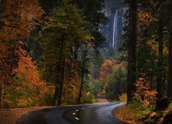 Stany Zjednoczone, Kalifornia, Park Narodowy Yosemite, Jesień, Drzewa, Droga, Wodospad, Bridalveil Fall, Las