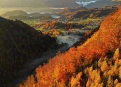 Widok z gór na miejscowości Bled i Gorje w Słowenii
