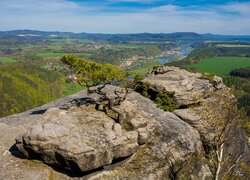 Góra Lilienstein, Drzewo, Skały, Saksońska Szwajcaria, Niemcy