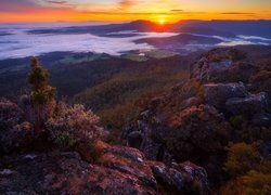 Zachód słońca, Skały, Drzewa, Opadająca, Mgła, Góra, Mother Cummings Peak, Dolina, Meander Valley, Tasmania, Australia