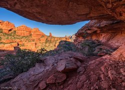 Stany Zjednoczone, Arizona, Sedona, Skały, Czerwone, Krzewy