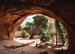 Widok z jaskini na sosny w Parku Narodowym Arches