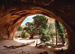 Jaskinia, Skały, Drzewa, Sosny, Park Narodowy Arches, Utah, Stany Zjednoczone