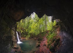 Widok z jaskini na wodospad w lesie