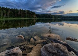 Widok z kamienistego brzegu jeziora na las