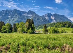 Widok z łąki na góry Bayerische Voralpen