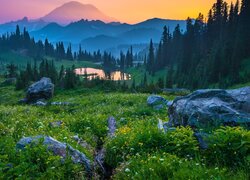 Stany Zjednoczone, Stan Waszyngton, Park Narodowy Mount Rainier, Jezioro, Las, Drzewa, Góry, Łąka, Kwiaty, Kamienie