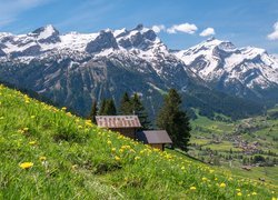 Widok z łąki na ośnieżone Alpy Berneńskie