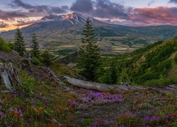 Widok z łąki na stratowulkan Mount St Helens pod chmurami