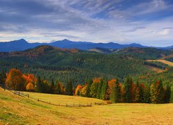 Widok z łąki na zalesione góry